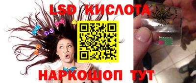 крисы Кунгур