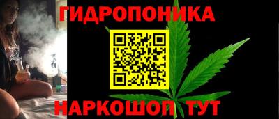 крисы Кунгур