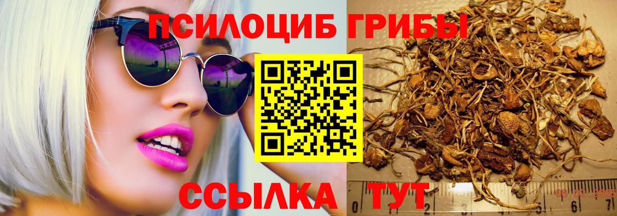 Псилоцибиновые грибы мухоморы  Галлюциногенные грибы MAGIC MUSHROOMS  Вход с VPN  Еманжелинск 