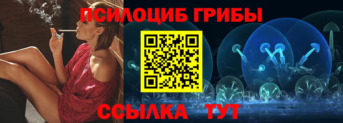 Галлюциногенные грибы Psilocybine cubensis Еманжелинск